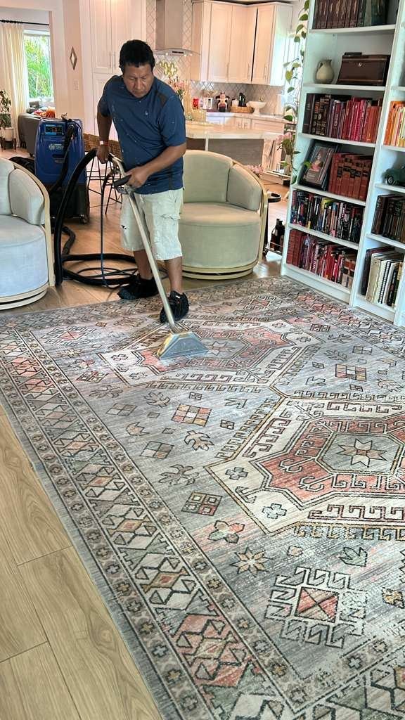 Dr Steemer technician cleaning a patterned area rug in a Miami home