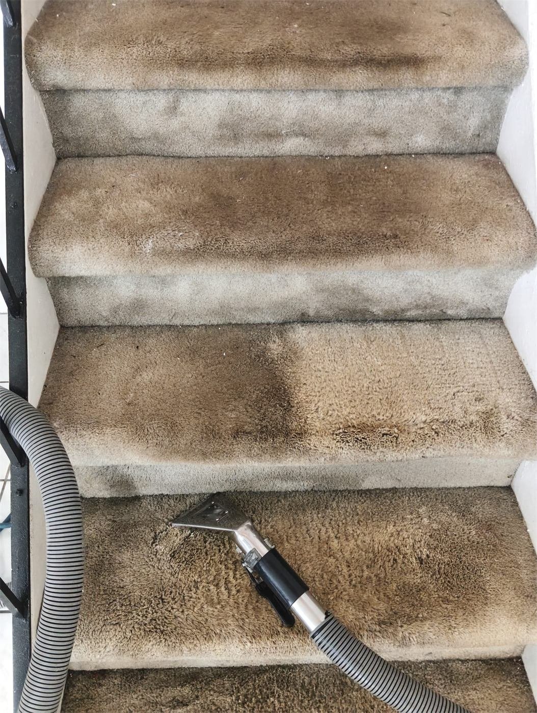Carpeted stairs being cleaned with a hot water extraction wand, showing cleaned and dirty steps side by side