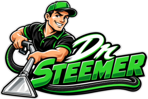 Dr Steemer Carpet Cleaning Miami